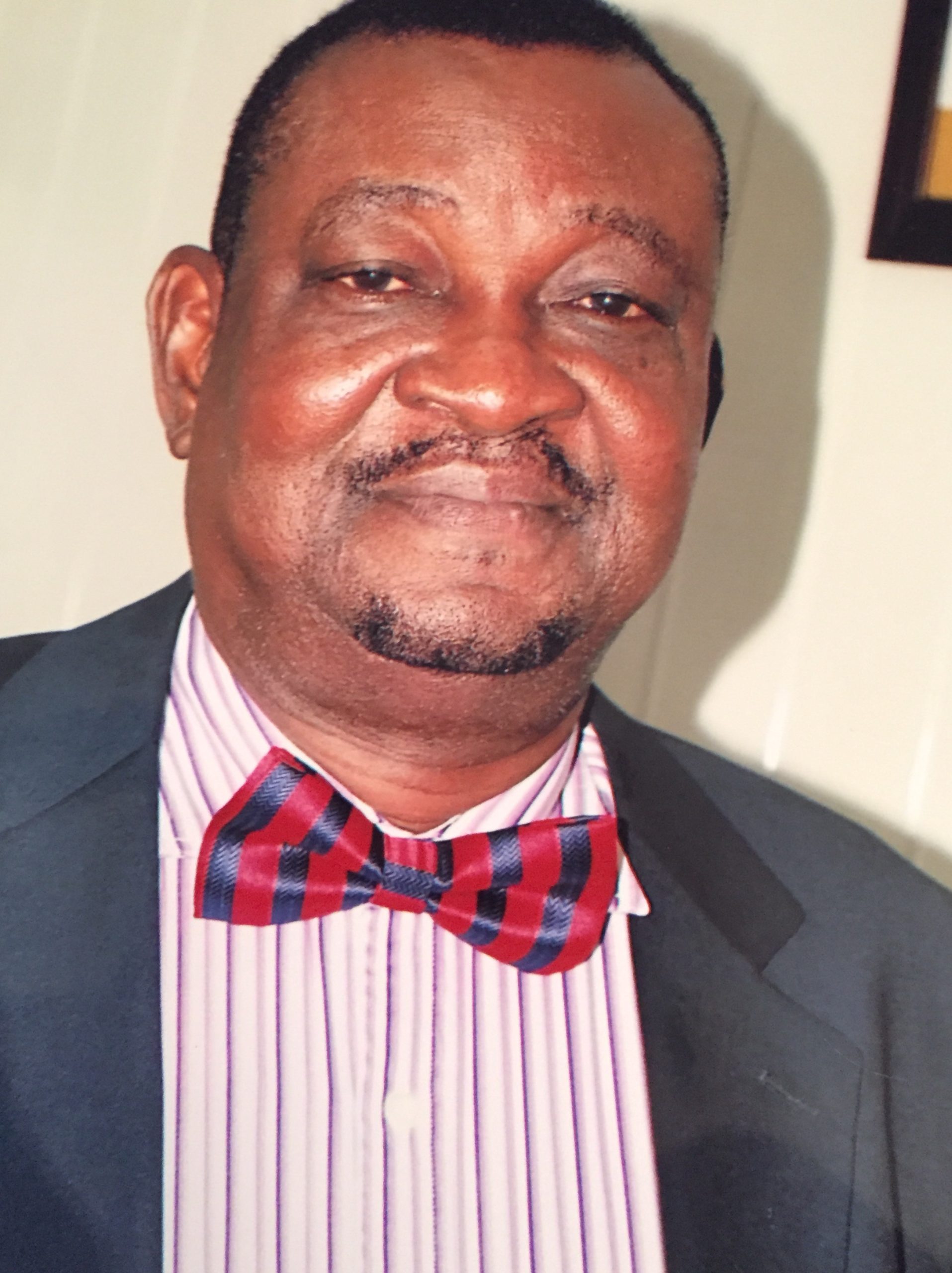 Portrait of Professor Adegbemi Babatunde Onakoya